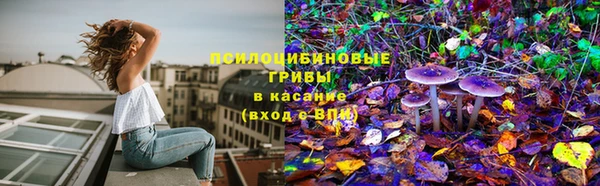 мяу мяу мука Наволоки