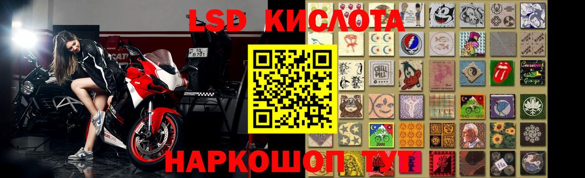 LSD-25 экстази кислота  LSD-25 экстази  Вход с VPN  Новодвинск  Лсд 25 экстази кислота 
