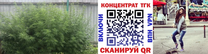 дарнет шоп  Новодвинск  ТГК Wax 