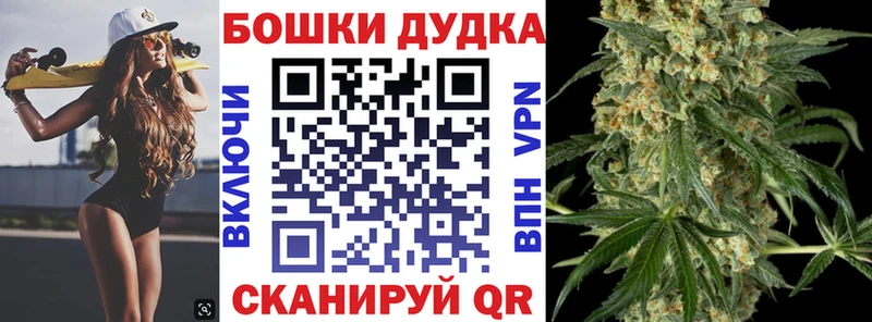 ОМГ ОМГ ссылки  Новодвинск  Шишки марихуана Amnesia 